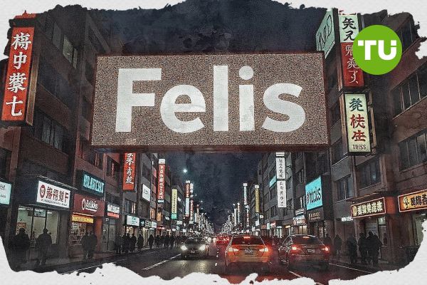 Why should you not invest in Felis token?