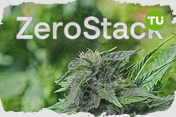 Cannabis distributor Flora Growth is becoming a 0G crypto treasury