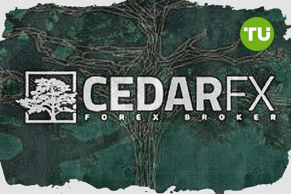 CedarFX review: First eco-friendly broker plants 150,000 trees through trading fees