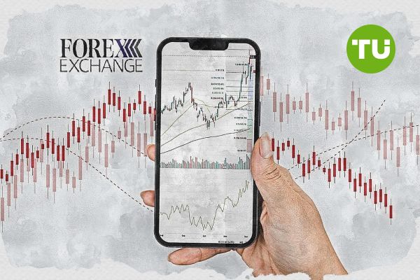 FOREX EXCHANGE review: Japanese broker details trading rules