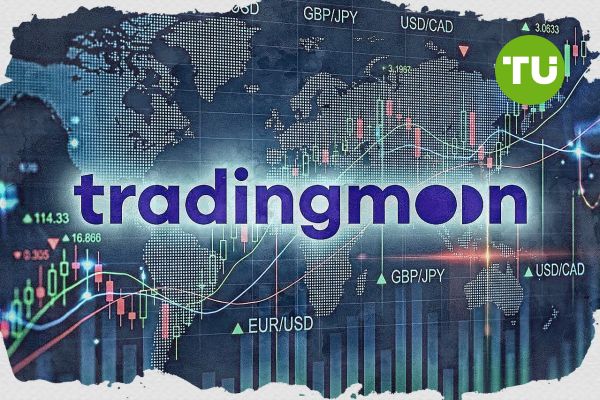 TradingMoon review: PAMM and MAM accounts highlight transparency