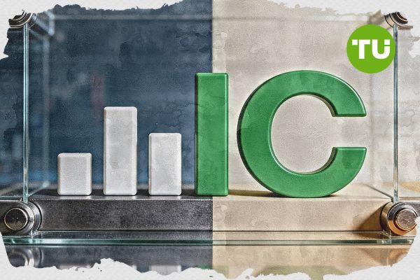 IC memperbarui biaya penyimpanan pada akun bebas swap