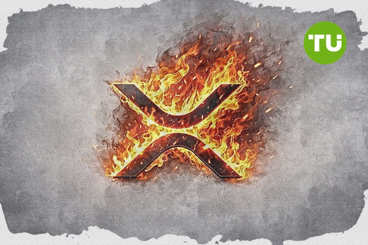 XRP in 2026: Network grows, but price remains stagnant