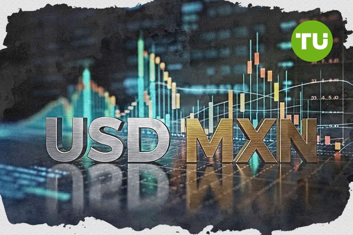 +0.65% for US Dollar vs Mexican Peso as buyers dominate in wide daily range