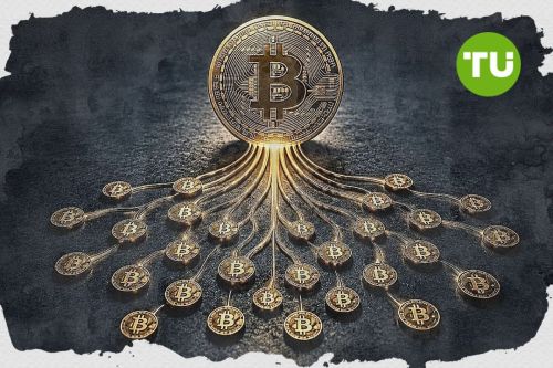 Mikrotransakce bitcoinu dosáhly rekordního 80% podílu na síťové aktivitě