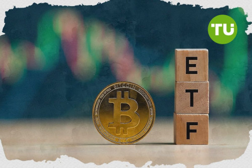 Bitcoin-ETFs beenden neuntägige Zuflussserie