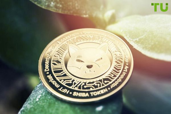 Shiba Inu price dropped significantly: Whales show activity