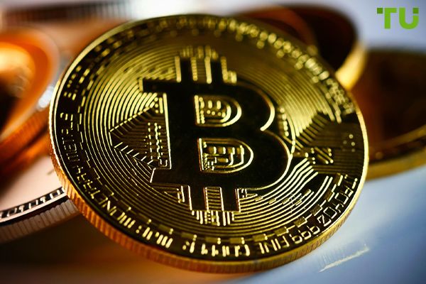 Analysts predict Bitcoin's bull cycle to continue Analysts predict Bitcoin's bull cycle to continue