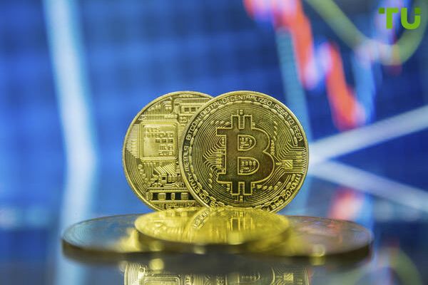 Long-term crypto investors showed resilience as BTC collapsed on January 3 Long-term crypto investors showed resilience as BTC collapsed on January 3