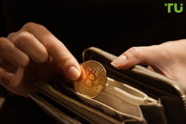 El número de pequeños monederos de criptomonedas desciende bruscamente El número de pequeños monederos de criptomonedas desciende bruscamente