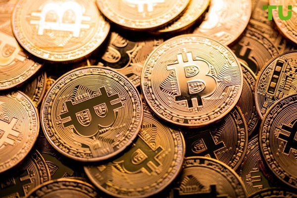 Number of major Bitcoin wallets reaches record levels Number of major Bitcoin wallets reaches record levels