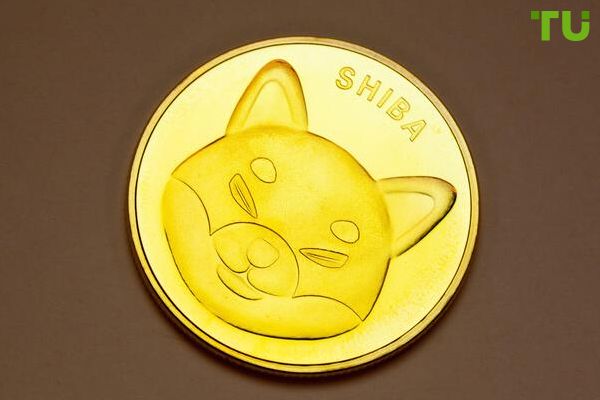 Shiba Inu rallies 180%: Token breaks into second place in terms of requests on Binance