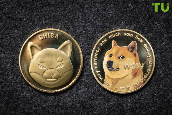 CryptoQuant CEO does not recommend investing in meme coins CryptoQuant CEO does not recommend investing in meme coins
