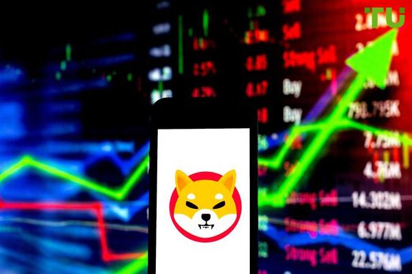 Shiba Inu developers take steps to increase interest in token
