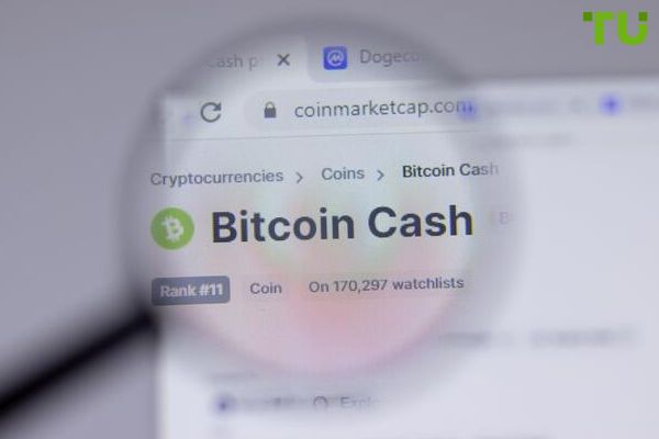 Fall in Bitcoin Cash cuts open interest in half
