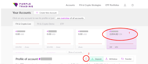 Overview of Purple Trading’s personal account — Make a deposit