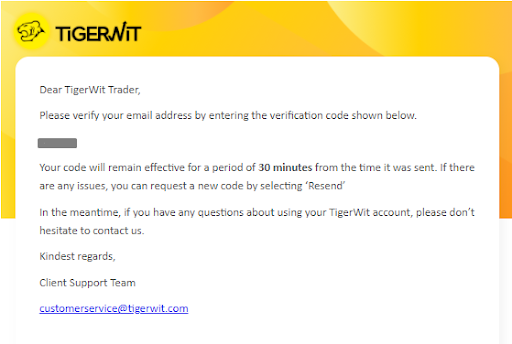 Review of TigerWit’s Personal Account — Confirm your email address