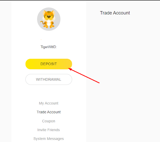 Review of TigerWit’s Personal Account — Make a deposit