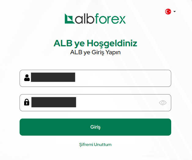 Accessing the user account at ALB Forex is done in a standard manner.