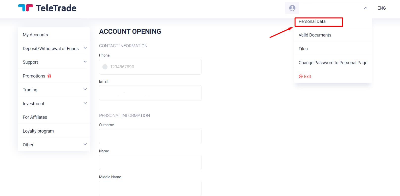 teletrade-website-5