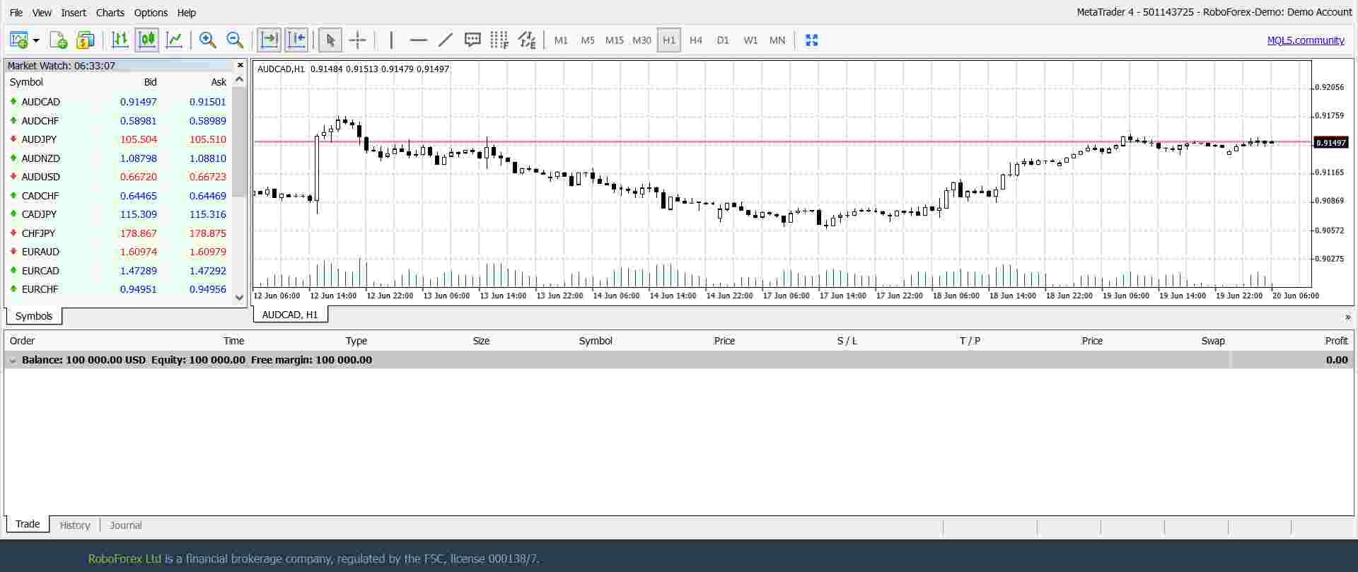 roboforex-mt4-web-interface-8