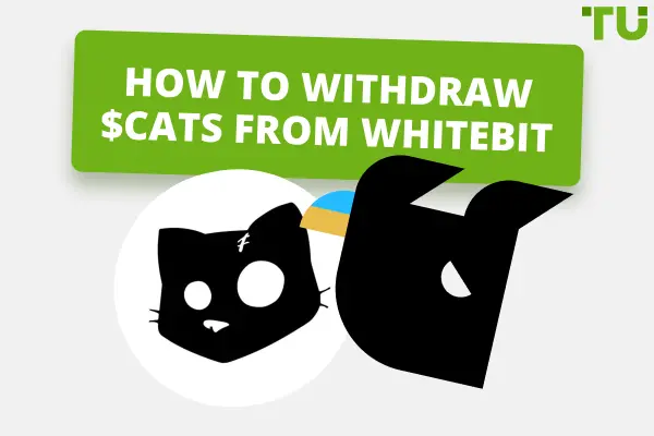 How To Withdraw $CATS From WhiteBIT: Step-by-Step Guide