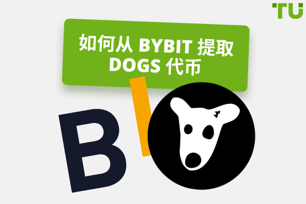 如何从 Bybit 提取 DOGS 代币 | 分步指南