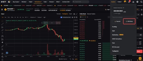 Bybit withdrawal