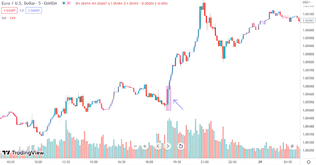 50 pips a day Forex