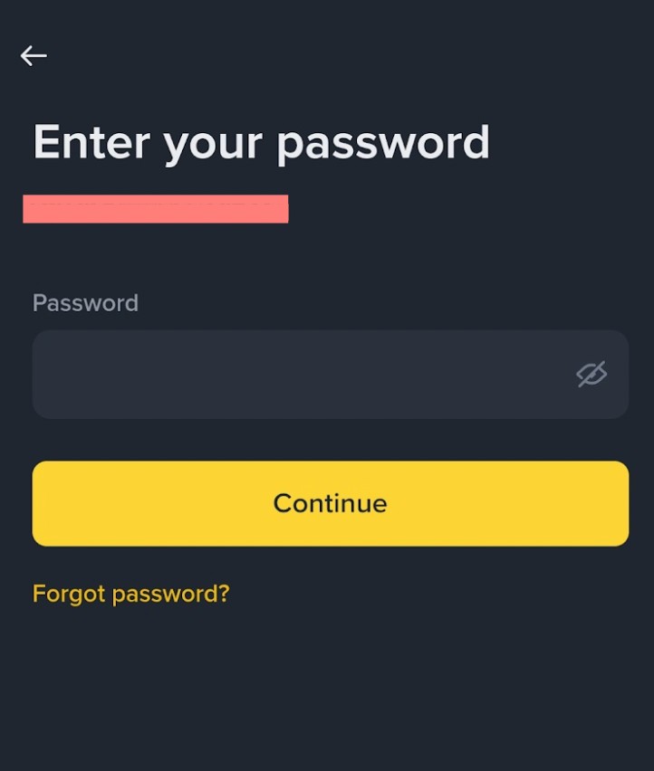 Кнопка “Forgot Password?” на Binance