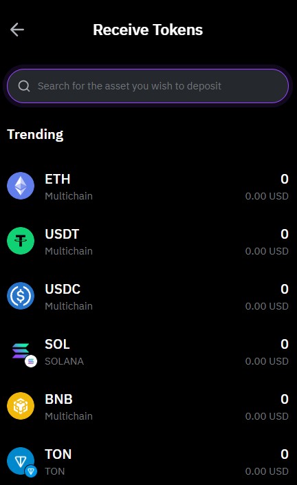Choosing a cryptocurrency in Bybit Wallet